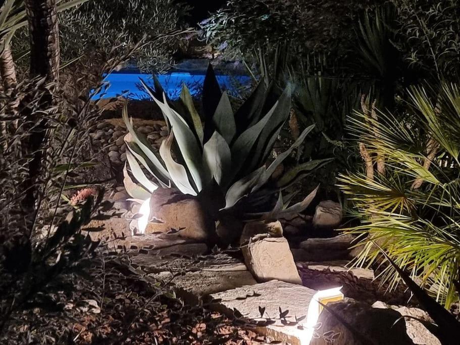 Une Oasis au Pays de Cézanne Aix-en-Provence Esterno foto